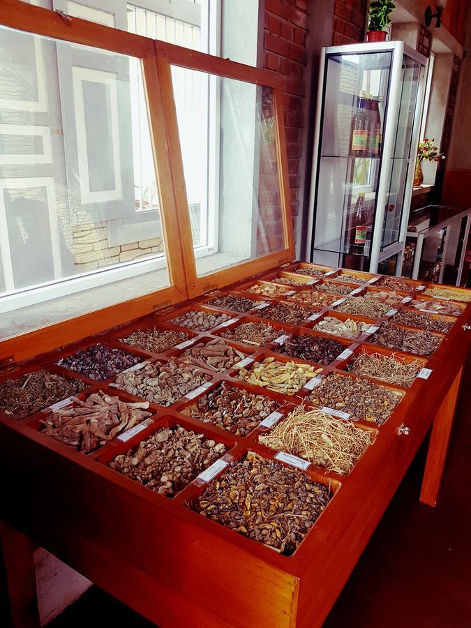 Oasey Ayurveda Hotel Μπεντότα Εξωτερικό φωτογραφία